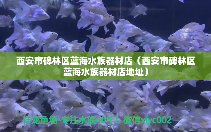 西安市碑林区蓝海水族器材店（西安市碑林区蓝海水族器材店地址）