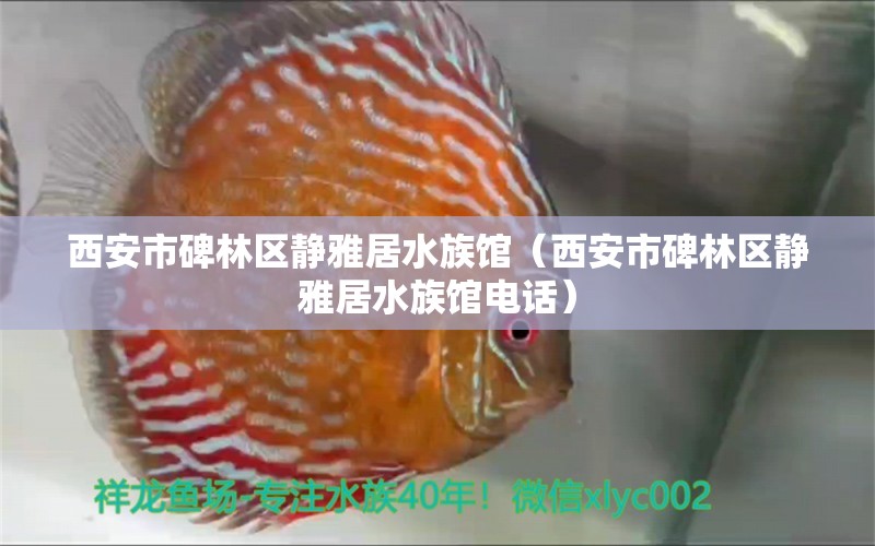 西安市碑林区静雅居水族馆（西安市碑林区静雅居水族馆电话）