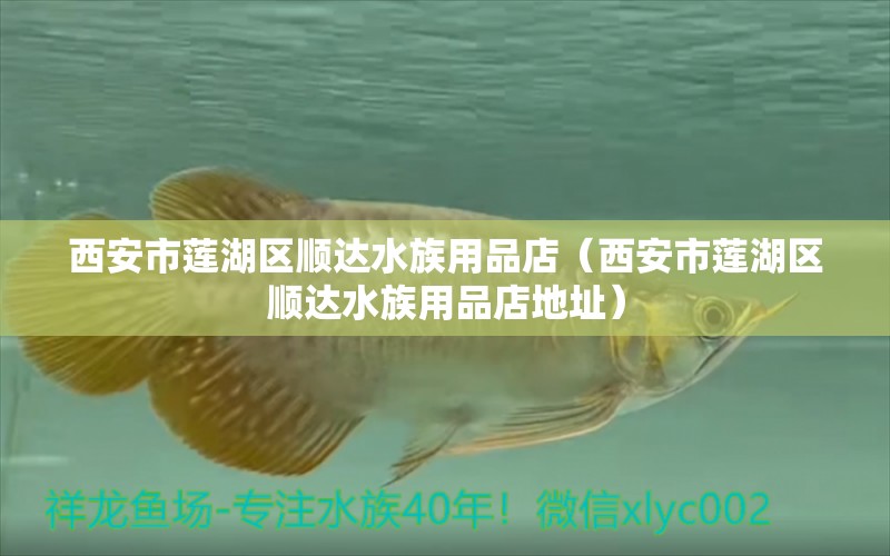 西安市莲湖区顺达水族用品店（西安市莲湖区顺达水族用品店地址） 水族用品