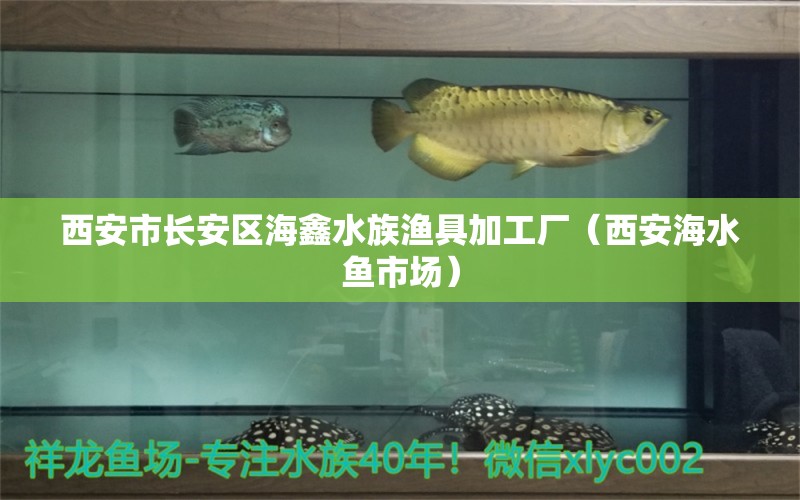 西安市长安区海鑫水族渔具加工厂（西安海水鱼市场）