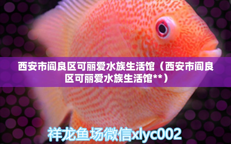 西安市阎良区可丽爱水族生活馆（西安市阎良区可丽爱水族生活馆**） 全国水族馆企业名录