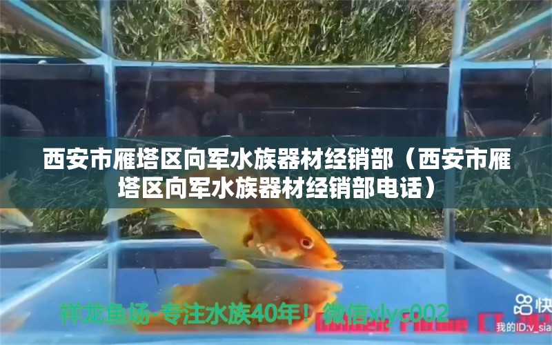 西安市雁塔区向军水族器材经销部（西安市雁塔区向军水族器材经销部电话）