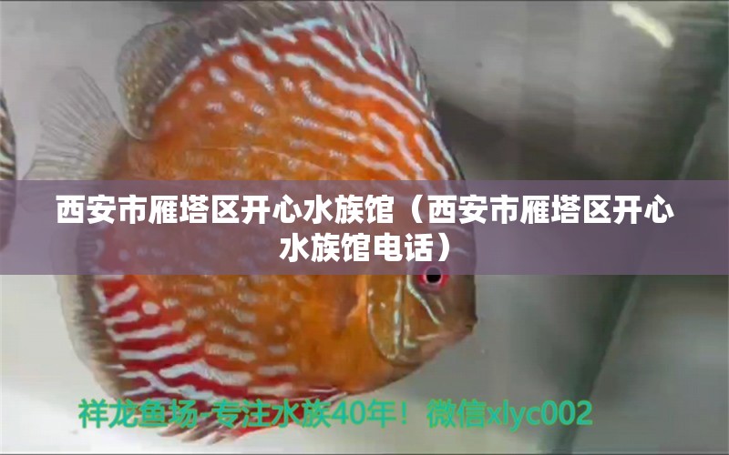 西安市雁塔区开心水族馆（西安市雁塔区开心水族馆电话） 全国水族馆企业名录