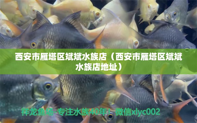 西安市雁塔区斌斌水族店（西安市雁塔区斌斌水族店地址） 全国水族馆企业名录