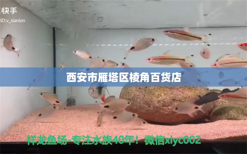 西安市雁塔区棱角百货店 全国水族馆企业名录