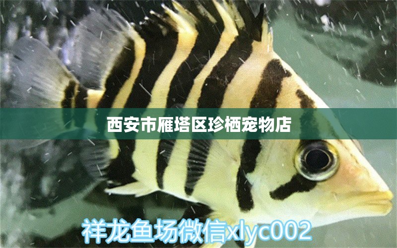 西安市雁塔区珍栖宠物店 全国水族馆企业名录