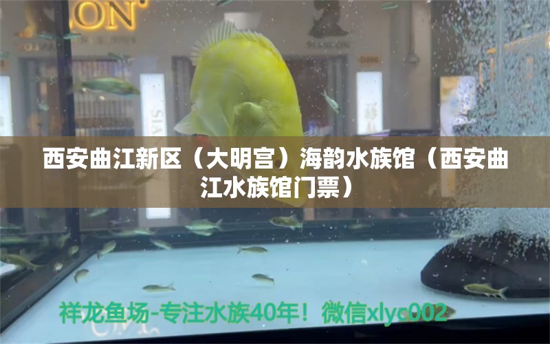 西安曲江新区（大明宫）海韵水族馆（西安曲江水族馆门票）