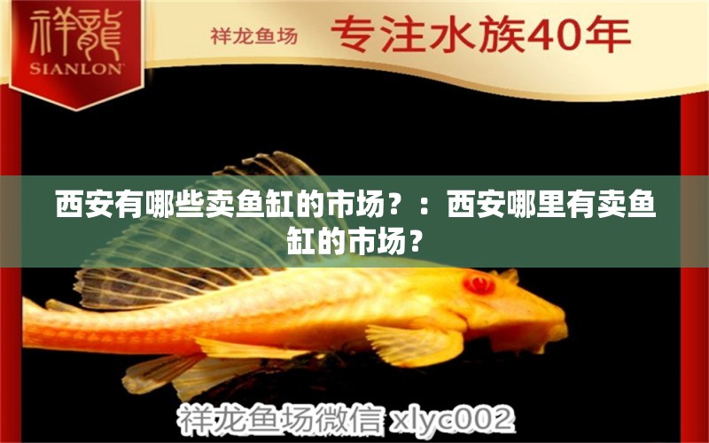 西安有哪些卖鱼缸的市场？：西安哪里有卖鱼缸的市场？ 鱼缸百科 第2张