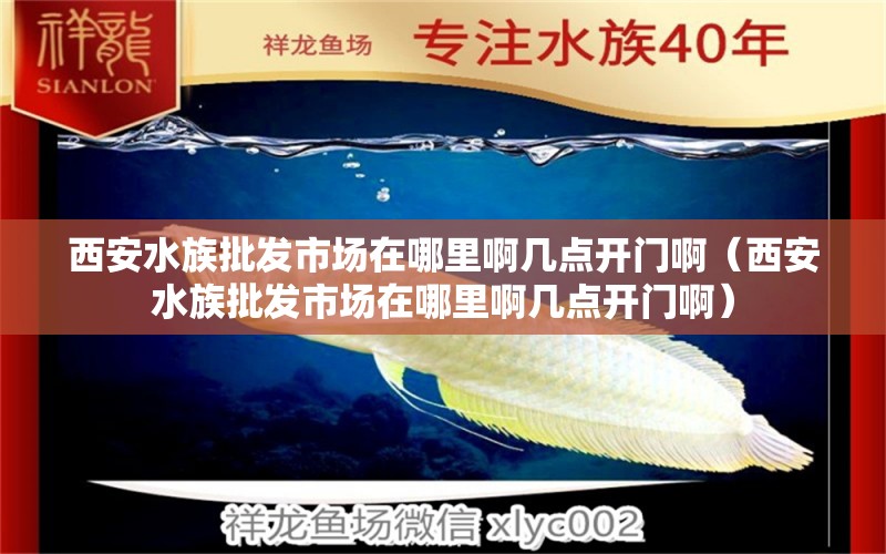 西安水族批发市场在哪里啊几点开门啊（西安水族批发市场在哪里啊几点开门啊）