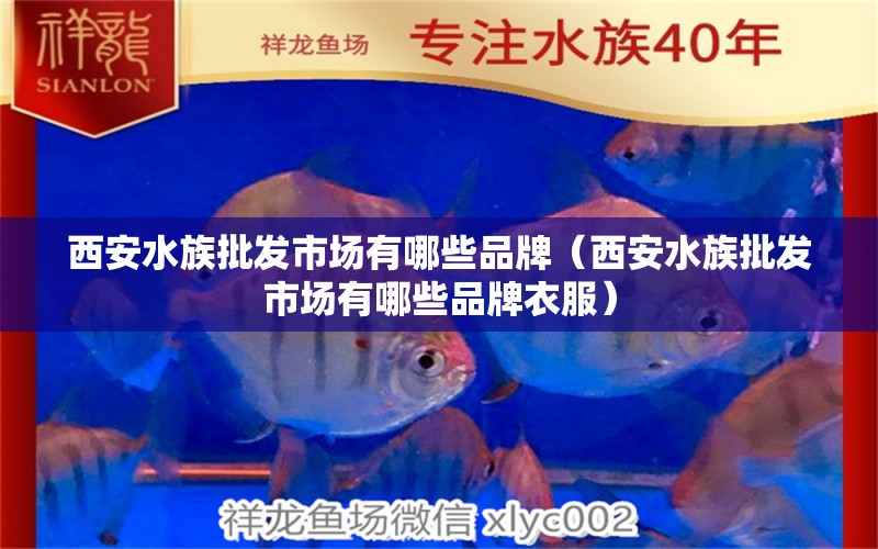 西安水族批发市场有哪些品牌（西安水族批发市场有哪些品牌衣服） 观赏鱼水族批发市场