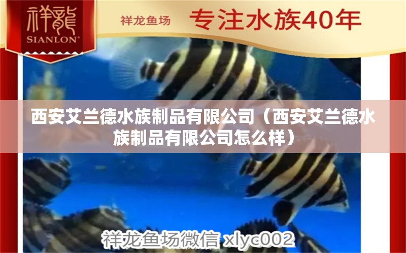 西安艾兰德水族制品有限公司（西安艾兰德水族制品有限公司怎么样） 全国水族馆企业名录