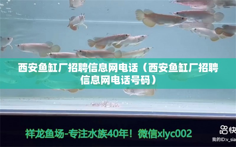 西安鱼缸厂招聘信息网电话（西安鱼缸厂招聘信息网电话号码）