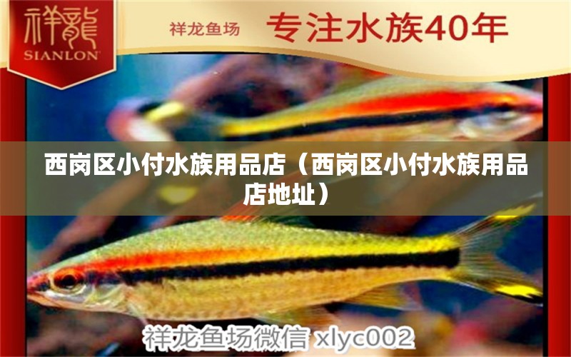 西岗区小付水族用品店（西岗区小付水族用品店地址） 水族用品