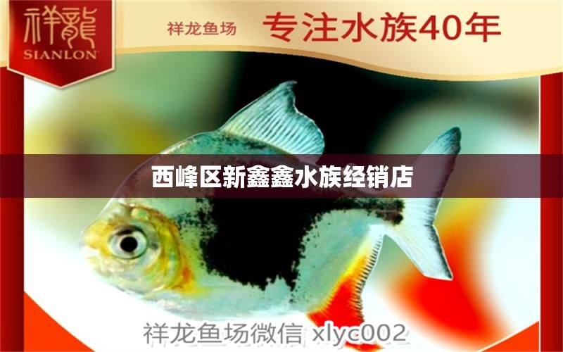 西峰区新鑫鑫水族经销店 全国水族馆企业名录 第2张