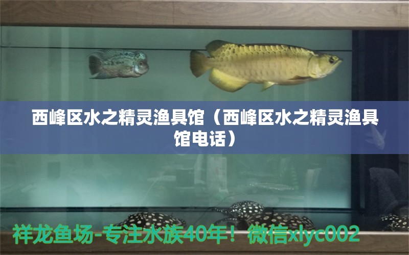 西峰区水之精灵渔具馆（西峰区水之精灵渔具馆电话） 全国水族馆企业名录