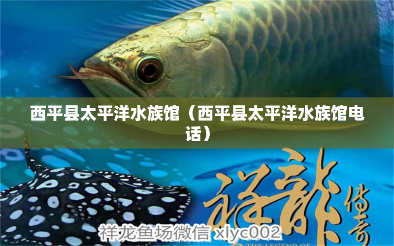 西平县太平洋水族馆（西平县太平洋水族馆电话）