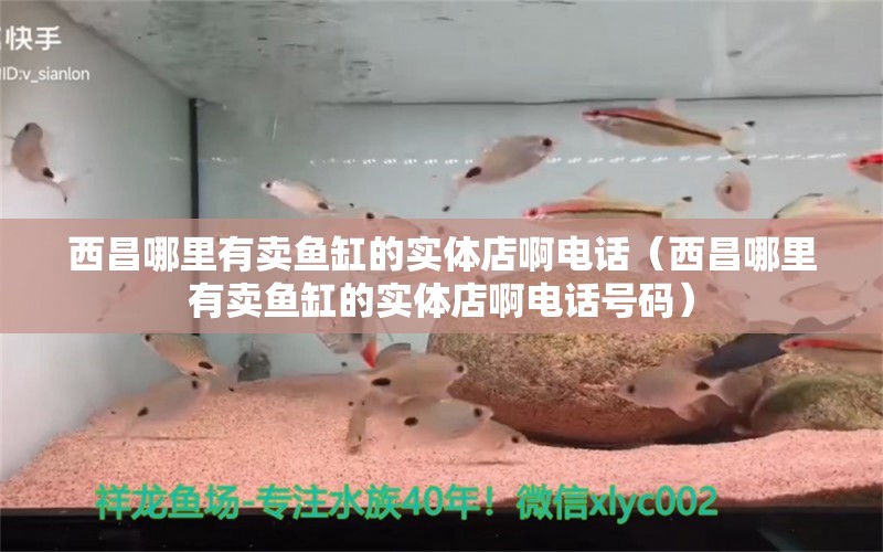 西昌哪里有卖鱼缸的实体店啊电话（西昌哪里有卖鱼缸的实体店啊电话号码）