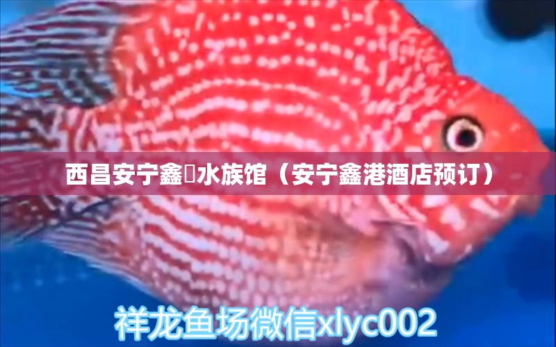 西昌安宁鑫垚水族馆（安宁鑫港酒店预订）