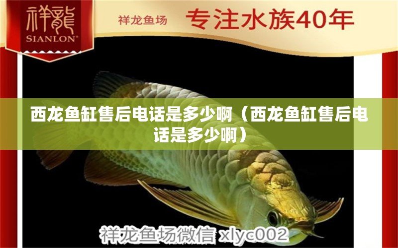 西龙鱼缸售后电话是多少啊（西龙鱼缸售后电话是多少啊） 祥龙水族医院