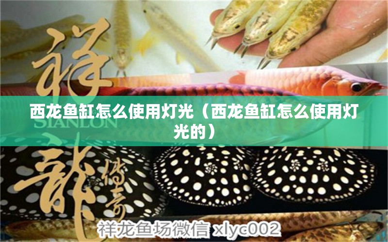 西龙鱼缸怎么使用灯光（西龙鱼缸怎么使用灯光的） 祥龙水族医院