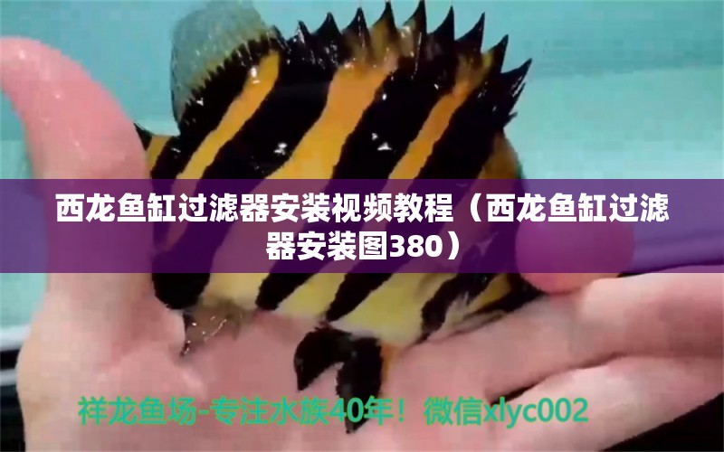 西龙鱼缸过滤器安装视频教程（西龙鱼缸过滤器安装图380）