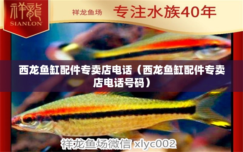 西龙鱼缸配件专卖店电话（西龙鱼缸配件专卖店电话号码） 黄金斑马鱼