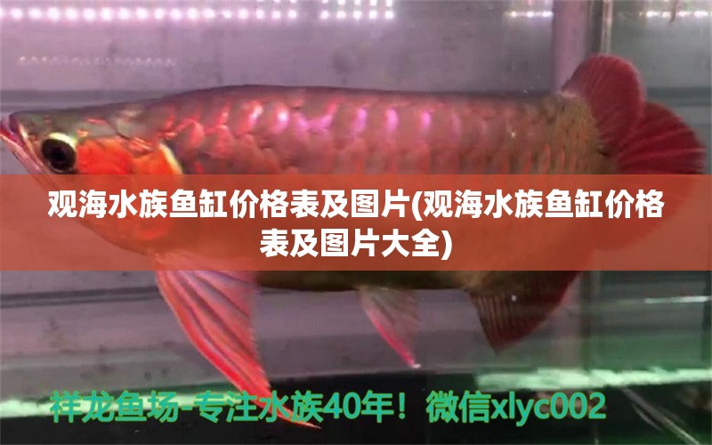 观海水族鱼缸价格表及图片(观海水族鱼缸价格表及图片大全)