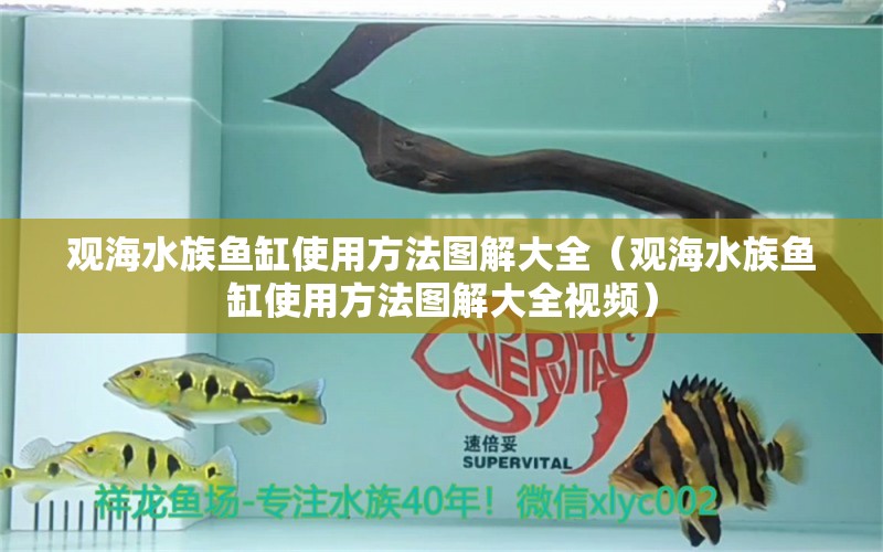 观海水族鱼缸使用方法图解大全（观海水族鱼缸使用方法图解大全视频）