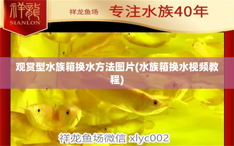 观赏型水族箱换水方法图片(水族箱换水视频教程) 鱼缸/水族箱