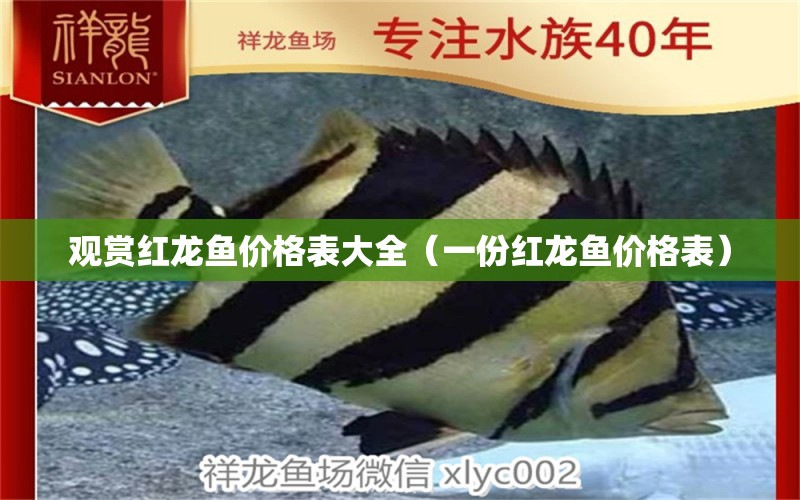 观赏红龙鱼价格表大全（一份红龙鱼价格表） 水族问答 第1张