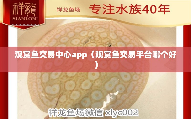 观赏鱼交易中心app（观赏鱼交易平台哪个好）