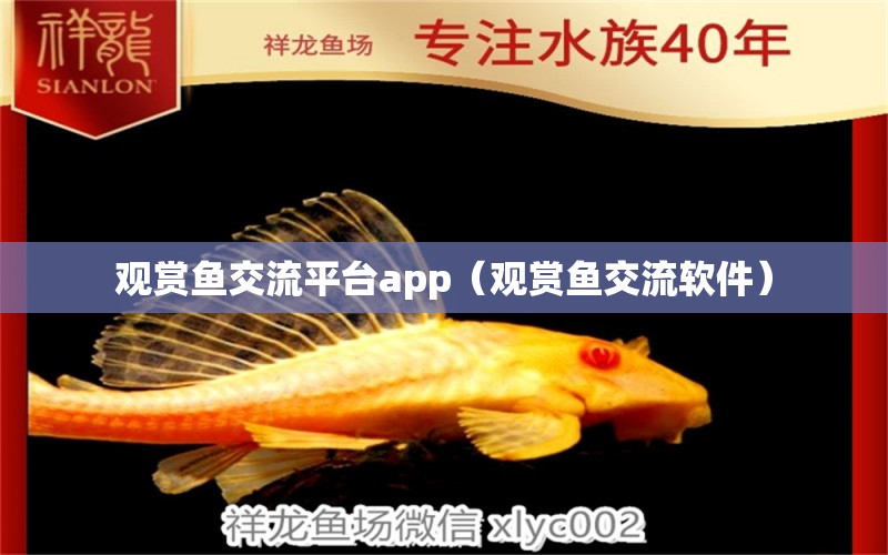 观赏鱼交流平台app（观赏鱼交流软件）
