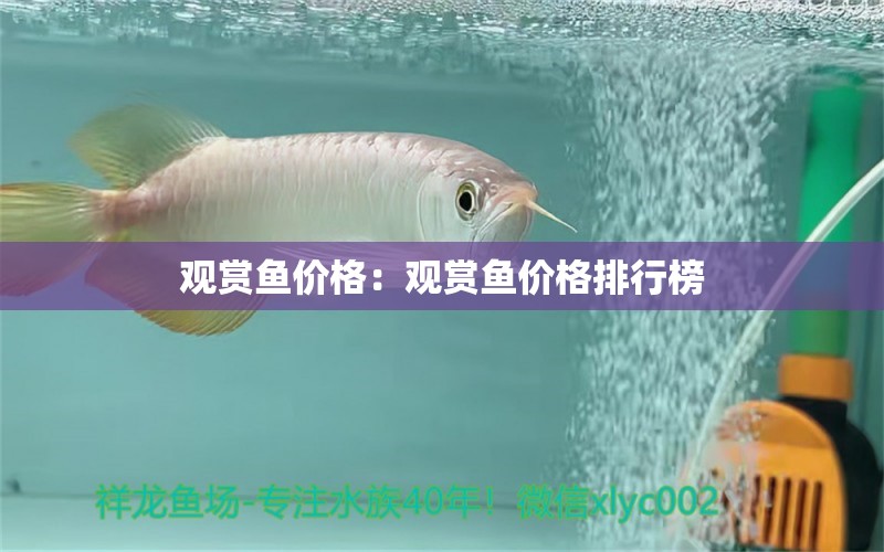 观赏鱼价格：观赏鱼价格排行榜