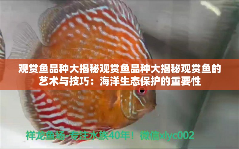 观赏鱼品种大揭秘观赏鱼品种大揭秘观赏鱼的艺术与技巧：海洋生态保护的重要性 鱼缸百科 第2张