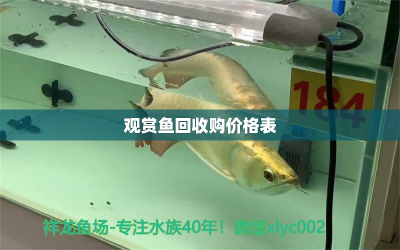 观赏鱼回收购价格表