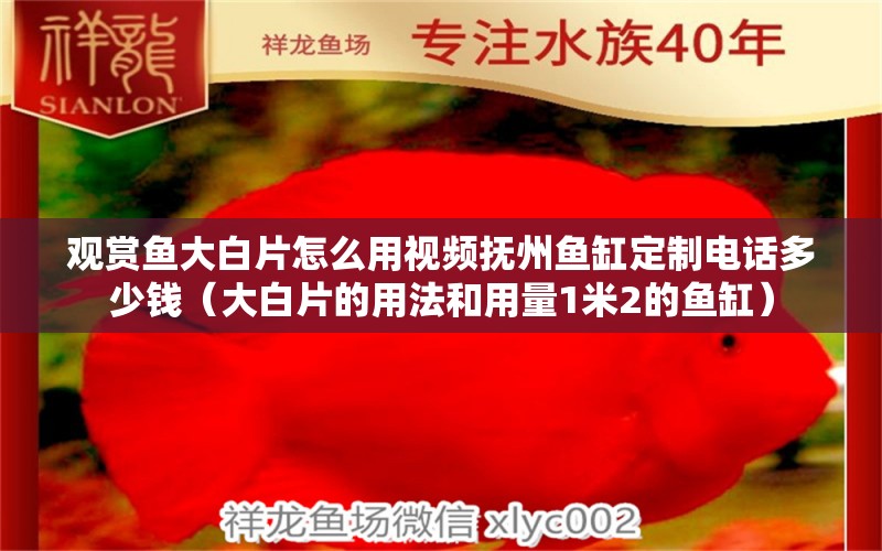 观赏鱼大白片怎么用视频抚州鱼缸定制电话多少钱（大白片的用法和用量1米2的鱼缸）