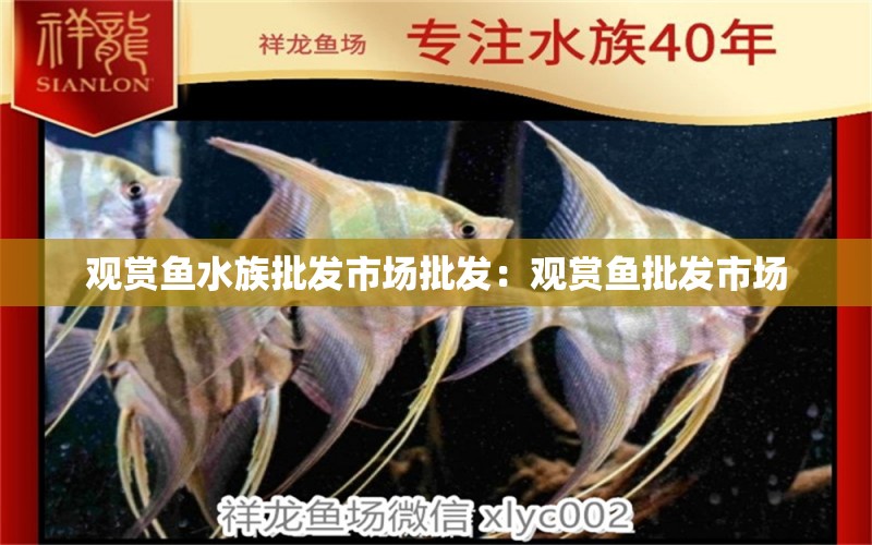 观赏鱼水族批发市场批发：观赏鱼批发市场