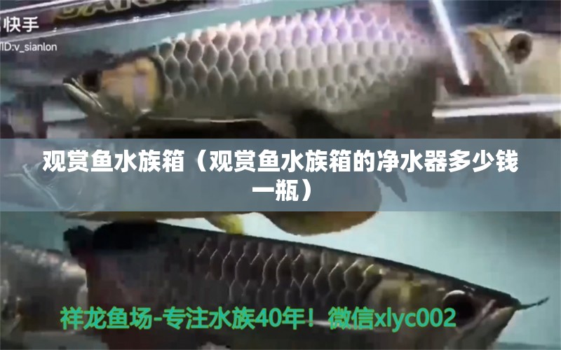 观赏鱼水族箱（观赏鱼水族箱的净水器多少钱一瓶） 鱼缸/水族箱