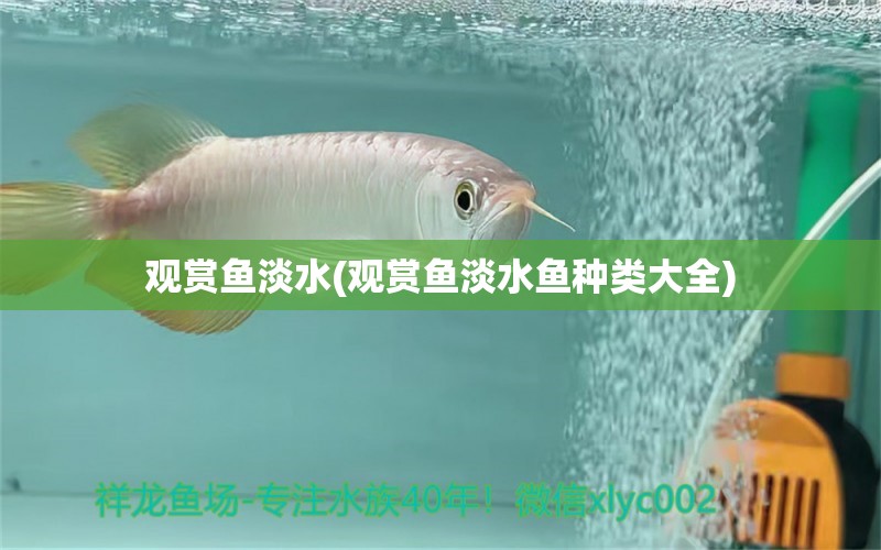 观赏鱼淡水(观赏鱼淡水鱼种类大全)