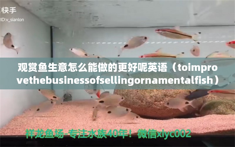 观赏鱼生意怎么能做的更好呢英语（toimprovethebusinessofsellingornamentalfish）