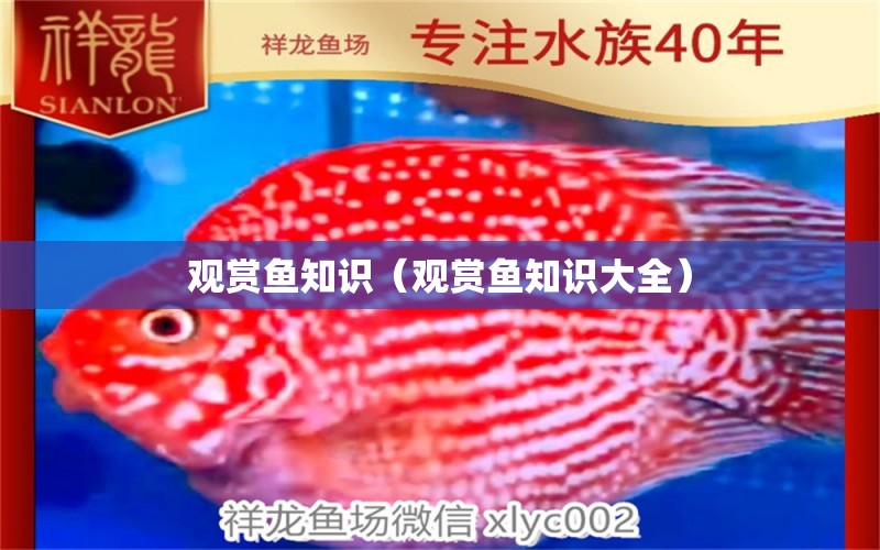 观赏鱼知识（观赏鱼知识大全） 祥龙水族医院