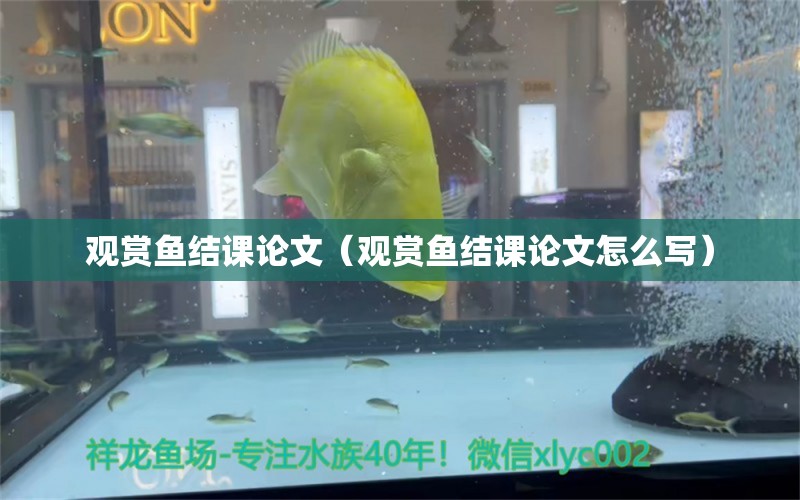 观赏鱼结课论文（观赏鱼结课论文怎么写）