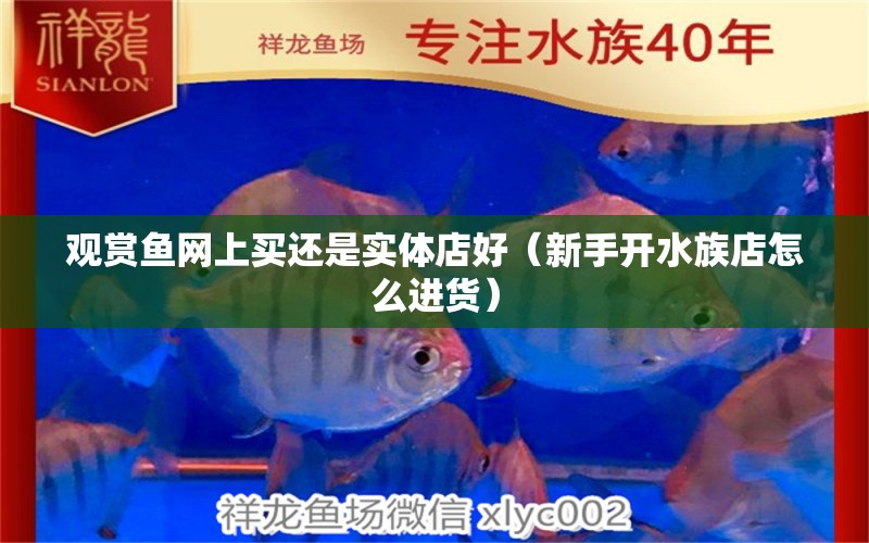 观赏鱼网上买还是实体店好（新手开水族店怎么进货） 网上购买观赏鱼