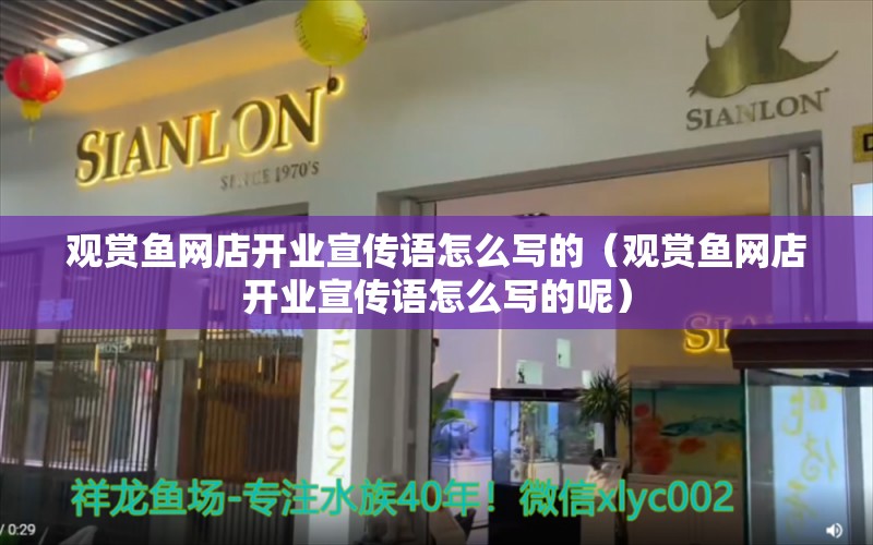 观赏鱼网店开业宣传语怎么写的（观赏鱼网店开业宣传语怎么写的呢）