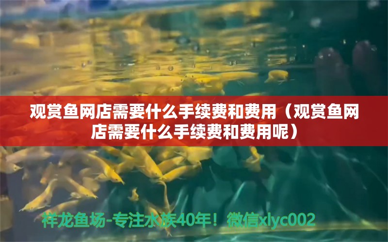 观赏鱼网店需要什么手续费和费用（观赏鱼网店需要什么手续费和费用呢）