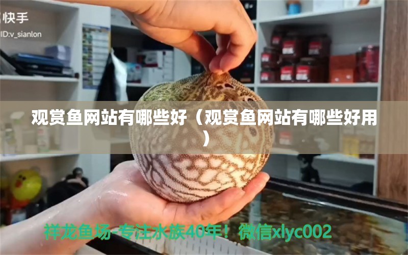 观赏鱼网站有哪些好（观赏鱼网站有哪些好用） 祥龙水族医院