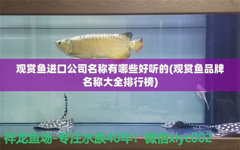 观赏鱼进口公司名称有哪些好听的(观赏鱼品牌名称大全排行榜)