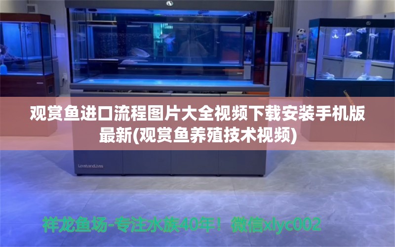 观赏鱼进口流程图片大全视频下载安装手机版最新(观赏鱼养殖技术视频)