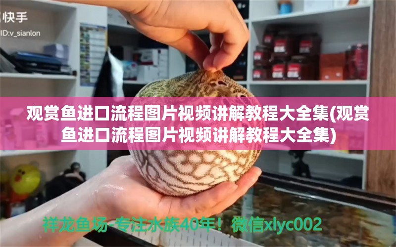 观赏鱼进口流程图片视频讲解教程大全集(观赏鱼进口流程图片视频讲解教程大全集)