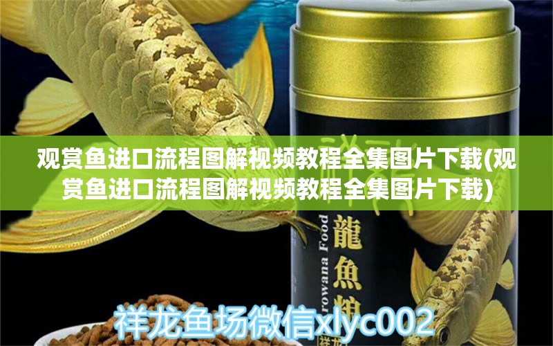 观赏鱼进口流程图解视频教程全集图片下载(观赏鱼进口流程图解视频教程全集图片下载)